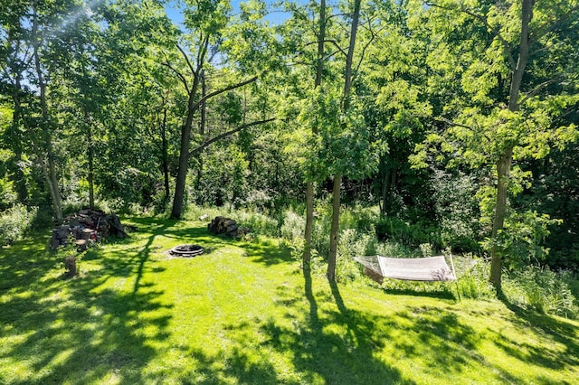 1294 160th St, Saint Croix Falls, WI 54024 - photo 47