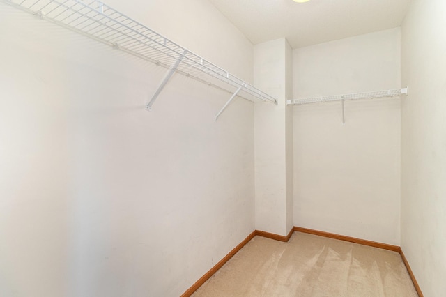 7710 Elm Grove Ct, New Hope, MN 55428 - spacious closet with light carpet