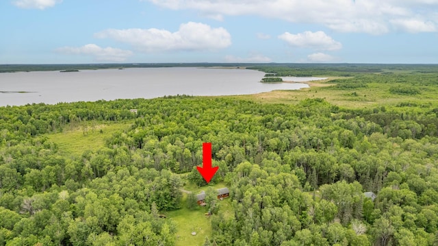 4767 Mccomber Rd, Duluth, MN 55803 - drone / aerial view of a large body of water and a heavily wooded area