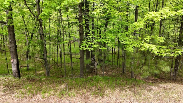 LOT2 Lakewood Dr, Wascott, WI 54838