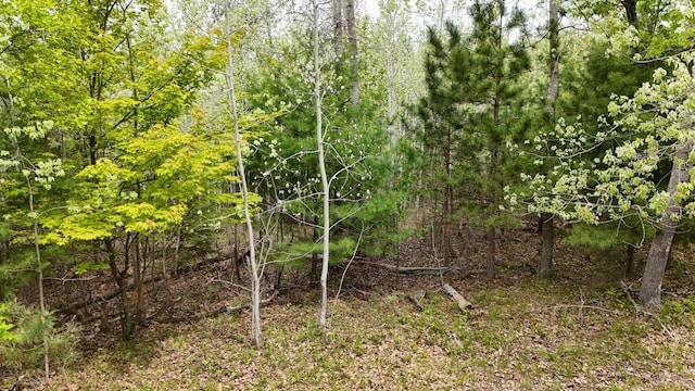 LOT2 Lakewood Dr, Wascott, WI 54838
