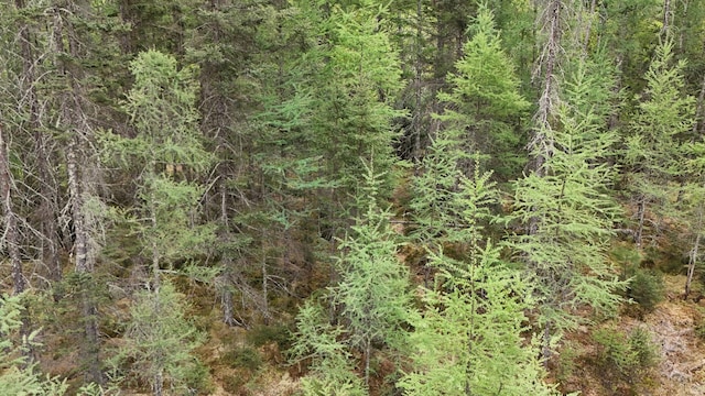 LOT3 Lakewood Dr, Wascott, WI 54838
