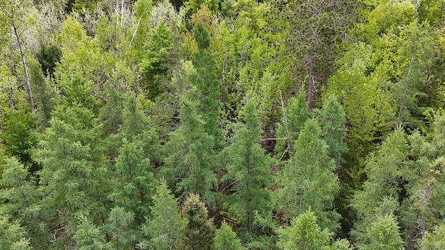 LOT3 Lakewood Dr, Wascott, WI 54838
