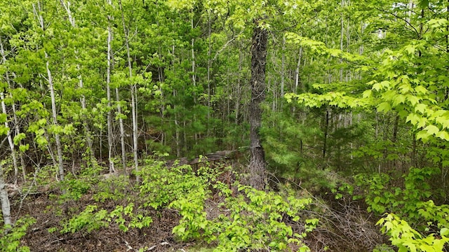 LOT3 Lakewood Dr, Wascott, WI 54838