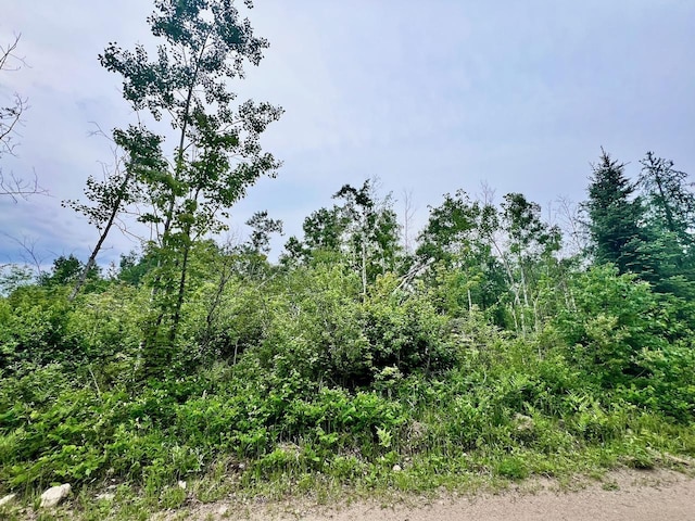 TBD Shuster Rd, Portage Twp, MN 55771 - photo 2