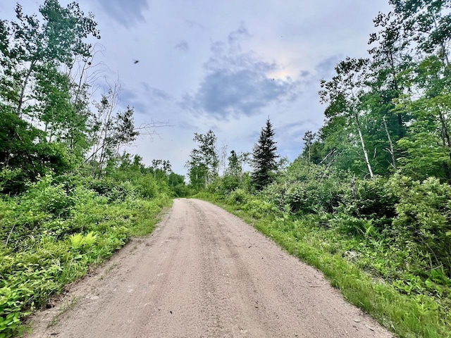 TBD Shuster Rd, Portage Twp, MN 55771 - photo 3