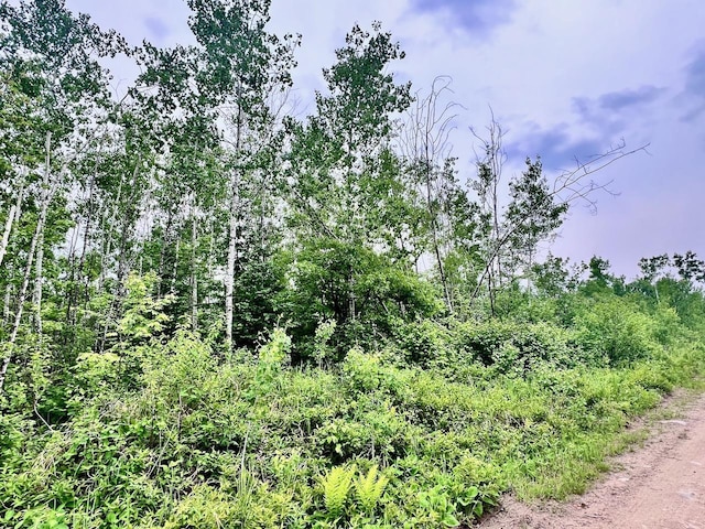 TBD Shuster Rd, Portage Twp, MN 55771 - photo 5