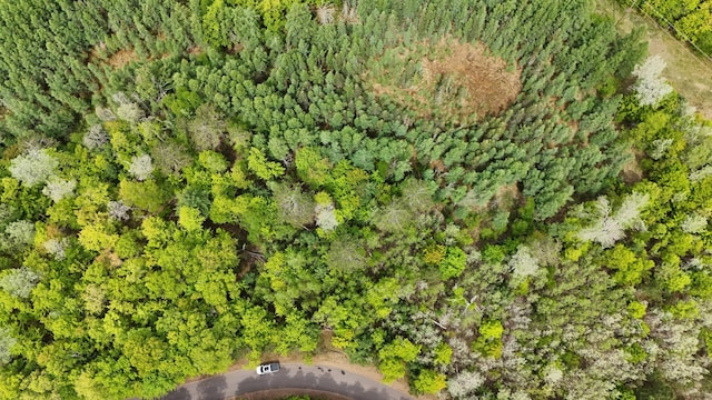 LOT4 Lakewood Dr, Wascott, WI 54838