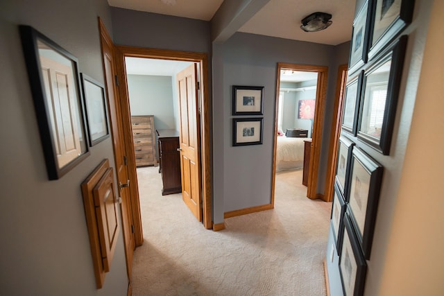 701 Oak Ave, Olivia, MN 56277 - hallway featuring light colored carpet and baseboards