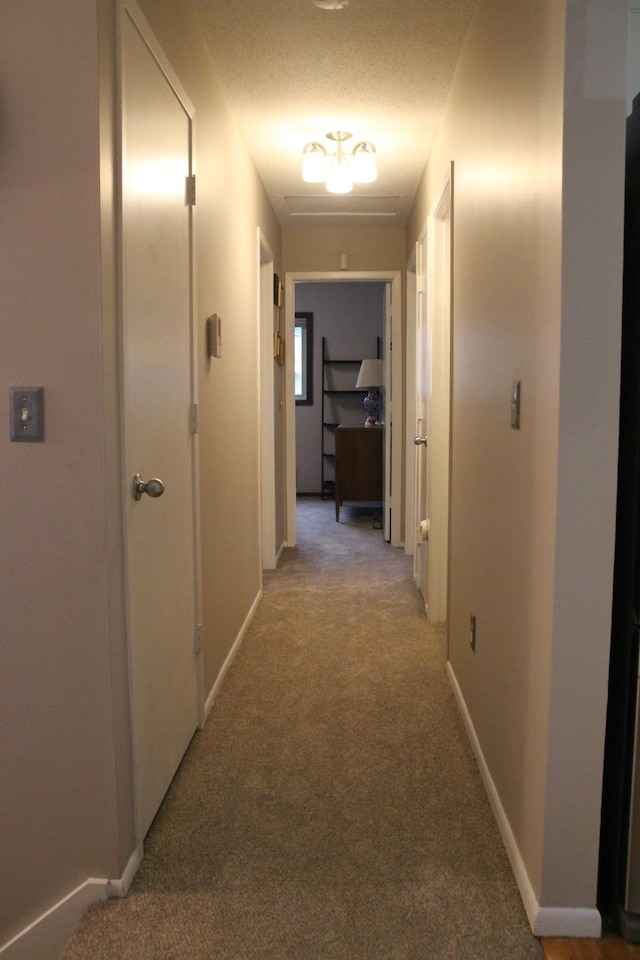 11902 River Hills Cir, Burnsville, MN 55337 - photo 21