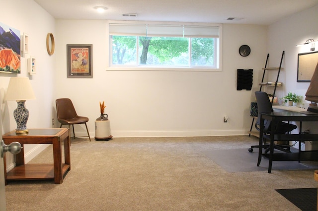 11902 River Hills Cir, Burnsville, MN 55337 - photo 42