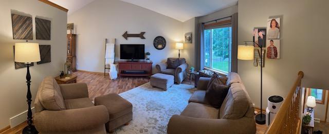 302 Peifer Dr, Litchfield, MN 55355 - living room featuring vaulted ceiling