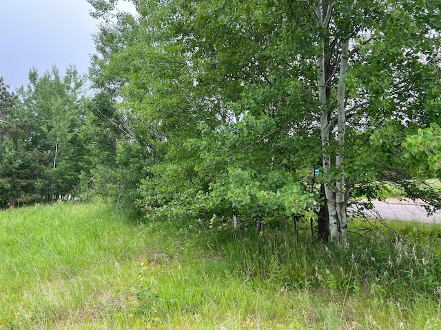 ParcelA Klondyke Road, Ironton, MN 56455