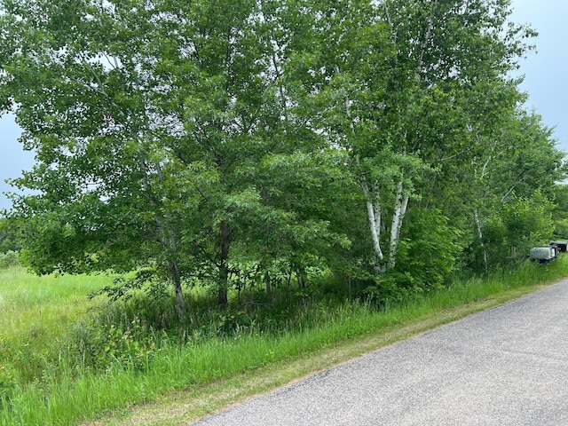 ParcelA Klondyke Road, Ironton, MN 56455