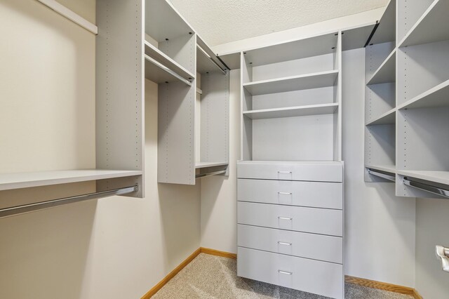 6936 Lake Ter E, Woodbury, MN 55125 - spacious closet with light carpet