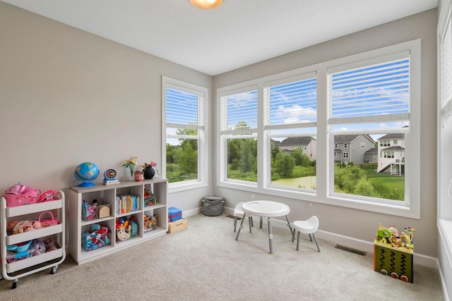 18175 61st Ave N, Plymouth, MN 55446 - recreation room featuring carpet floors and baseboards