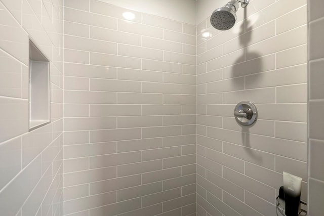 18175 61st Ave N, Plymouth, MN 55446 - bathroom view of a tile shower