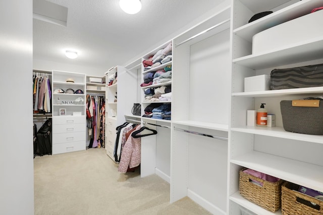18175 61st Ave N, Plymouth, MN 55446 - walk in closet with light carpet