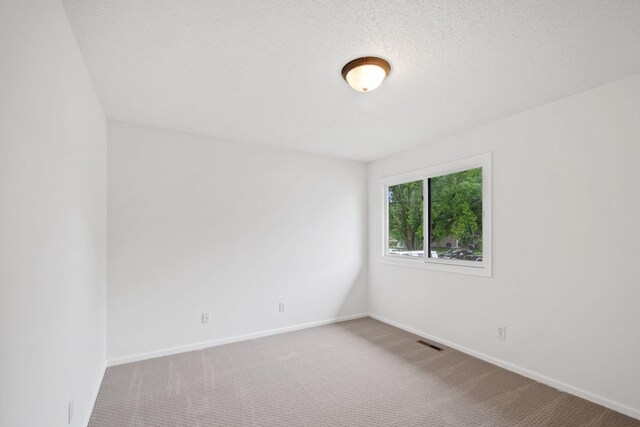 12908 Belle Aire Dr, Champlin, MN 55316 - spare room featuring carpet