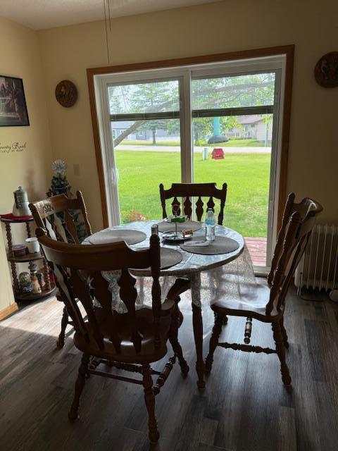 40147 Clitherall Lake Rd, Clitherall Twp, MN 56524 - photo 4