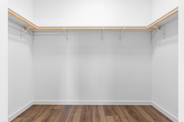 1720 Summer Ln NE, Alexandria, MN 56308 - walk in closet with wood finished floors