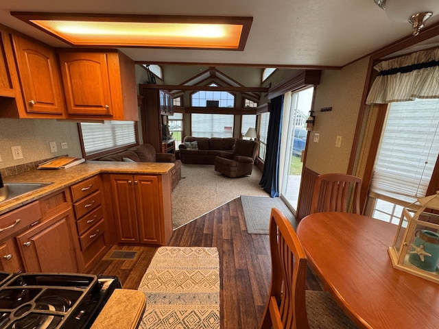 1540 US Highway 59 Unit 203, Detroit Lakes, MN 56501 - kitchen with dark wood-type flooring, brown cabinets, open floor plan, plenty of natural light, and lofted ceiling