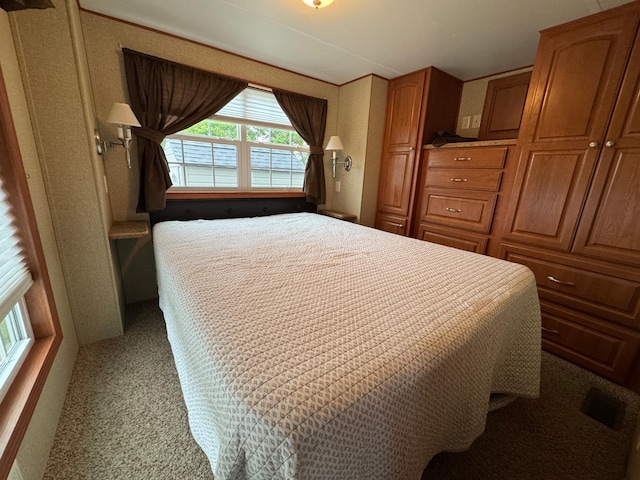 1540 US Highway 59 Unit 203, Detroit Lakes, MN 56501 - view of carpeted bedroom