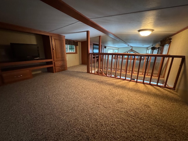 1540 US Highway 59 Unit 203, Detroit Lakes, MN 56501 - below grade area with carpet