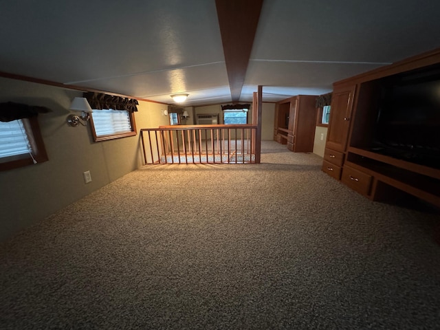 1540 US Highway 59 Unit 203, Detroit Lakes, MN 56501 - below grade area featuring carpet flooring