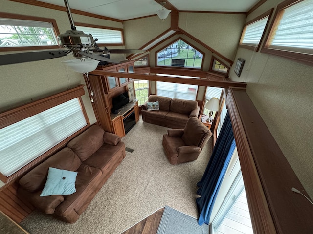 1540 US Highway 59 Unit 203, Detroit Lakes, MN 56501 - living room with a fireplace, carpet, lofted ceiling, and crown molding