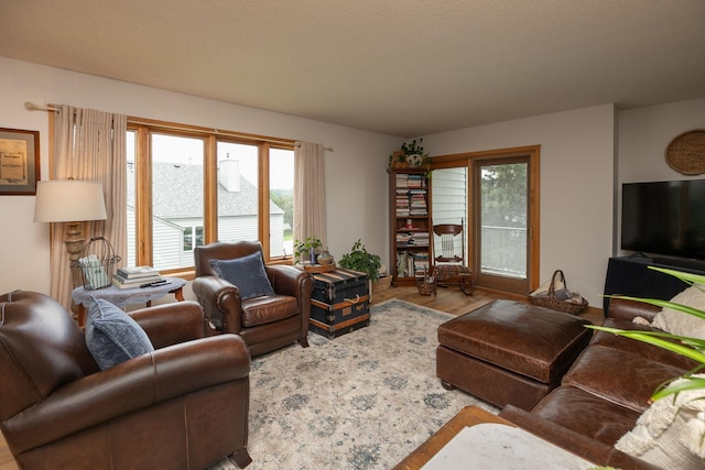 4887 Tee Ct SW, Rochester, MN 55902 - living area with plenty of natural light and wood finished floors