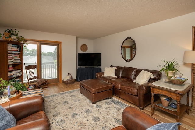 4887 Tee Ct SW, Rochester, MN 55902 - living room featuring wood finished floors and a textured ceiling