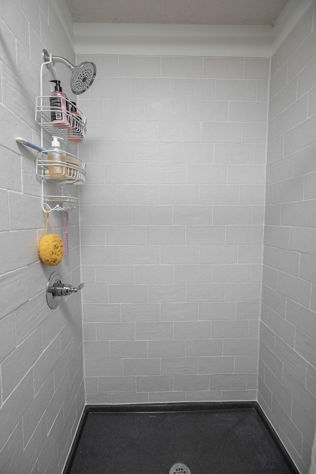 4887 Tee Ct SW, Rochester, MN 55902 - full bathroom featuring a tile shower