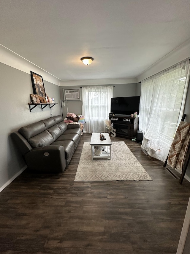 15729 232nd Ave NE, Hawick, MN 56273 - living area featuring dark wood-style flooring and a wall mounted air conditioner