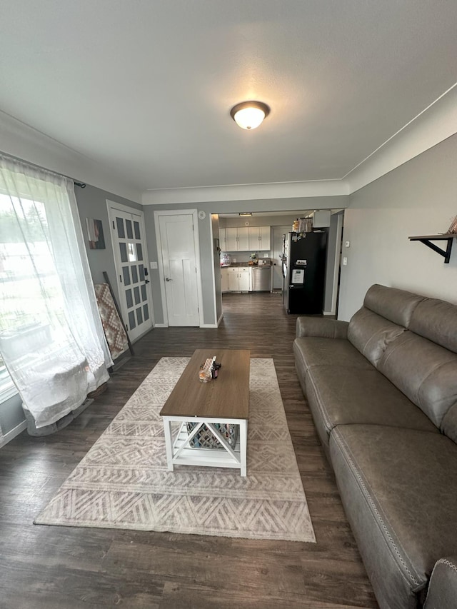 15729 232nd Ave NE, Hawick, MN 56273 - living room featuring dark wood-style floors and baseboards