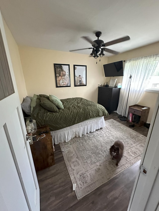 15729 232nd Ave NE, Hawick, MN 56273 - bedroom featuring wood finished floors and ceiling fan