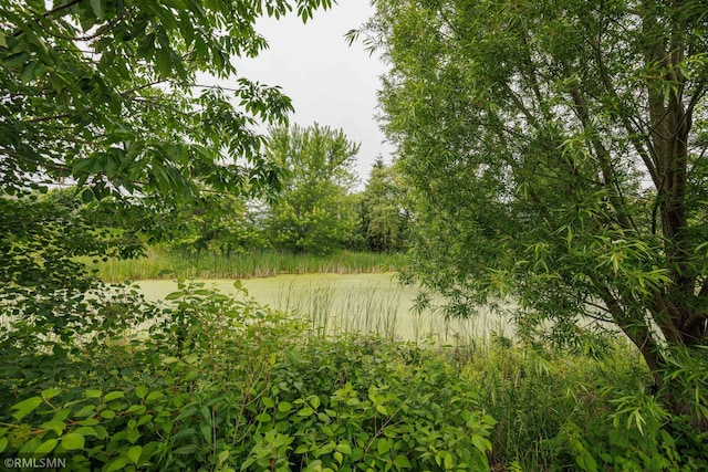 6354 151st Street Ct N, Hugo, MN 55038 - water view