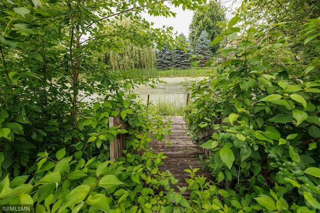 6354 151st Street Ct N, Hugo, MN 55038 - view of yard