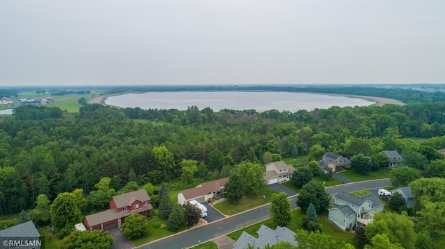 6354 151st Street Ct N, Hugo, MN 55038 - aerial perspective of suburban area with a nearby body of water and a forest