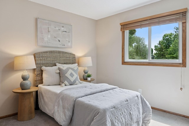 6160 Creek View Rdg, Minnetonka, MN 55345 - bedroom with carpet flooring and baseboards