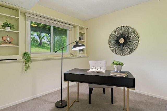 6160 Creek View Rdg, Minnetonka, MN 55345 - carpeted office with baseboards