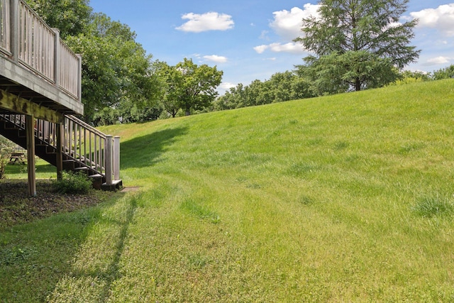 6160 Creek View Rdg, Minnetonka, MN 55345 - view of green lawn with stairs