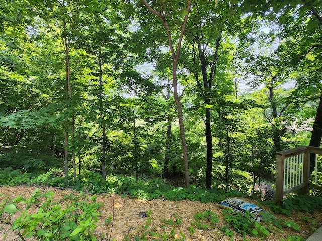 3900 Hillcrest Way, Deephaven, MN 55391 - view of wooded area