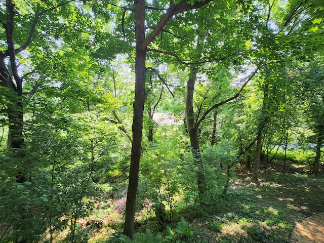 3900 Hillcrest Way, Deephaven, MN 55391 - view of wooded area