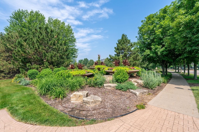 10751 Falling Water Ln Unit C, Woodbury, MN 55129 - view of home's community