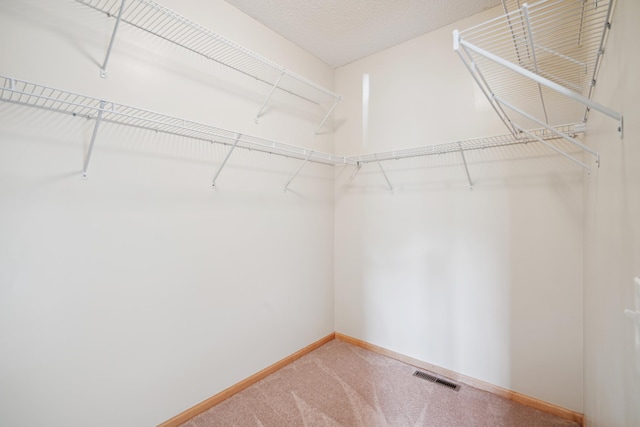 10751 Falling Water Ln Unit C, Woodbury, MN 55129 - spacious closet with carpet