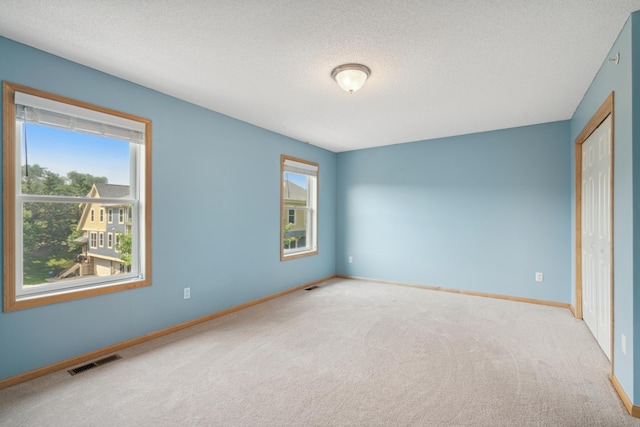 10751 Falling Water Ln Unit C, Woodbury, MN 55129 - unfurnished bedroom with carpet flooring and a textured ceiling