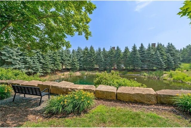 10751 Falling Water Ln Unit C, Woodbury, MN 55129 - view of home's community