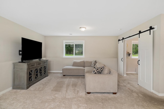 9147 Viking St, Brainerd, MN 56401 - living area featuring a barn door and carpet floors