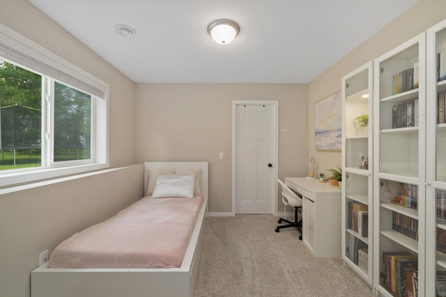 9147 Viking St, Brainerd, MN 56401 - bedroom with light colored carpet and an office area